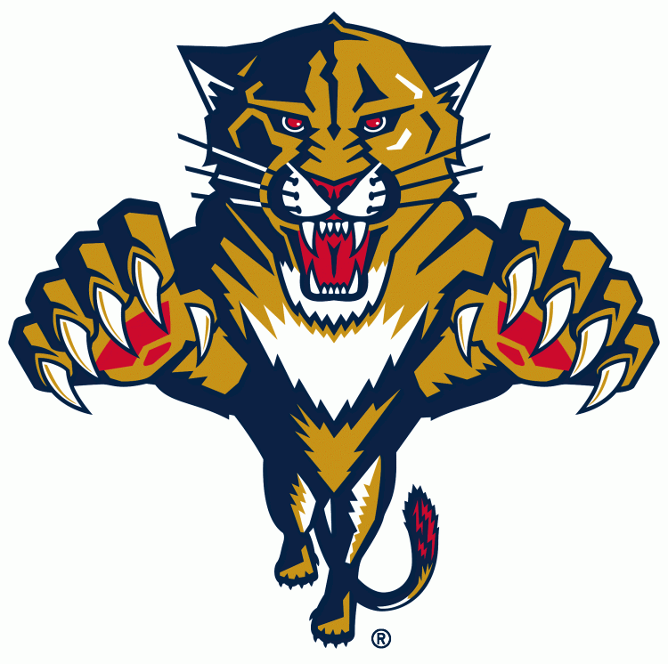 Florida Panthers1999-2016 Primary Logo iron on transfers for T-shirts